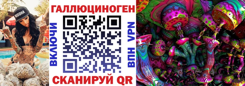 Псилоцибиновые грибы прущие грибы  купить наркоту  Дорогобуж 