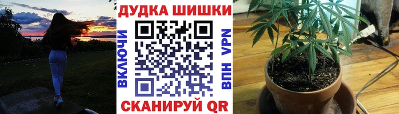 Канабис ГИДРОПОН гидра tor Дорогобуж хочу